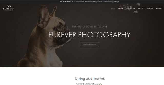 Find Photographers NZ | Directory of Professional Photographers